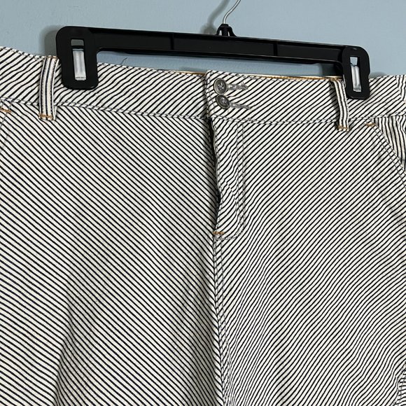 Pilcro & the Letterpress Navy Hickory Striped A-Line Denim Skirt Size 28 - Picture 5 of 9